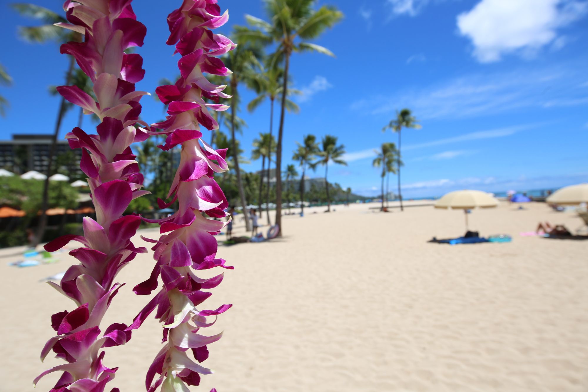 Budget travel to Hawaii: Save money on your trip to Hawaii without sacrificing fun.