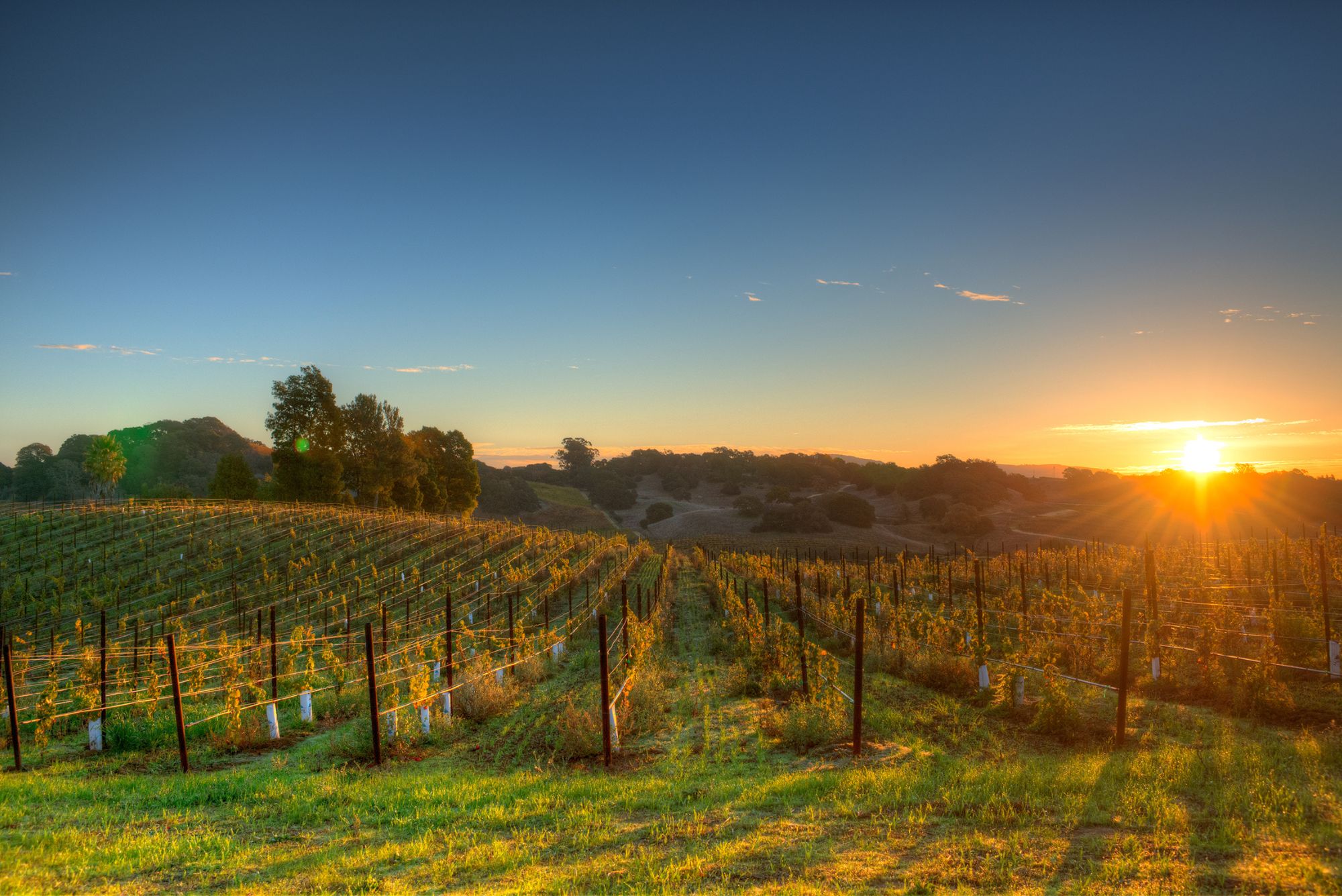 A First-Timer’s Approach to Choosing the Best Hotels To Stay in Napa Valley